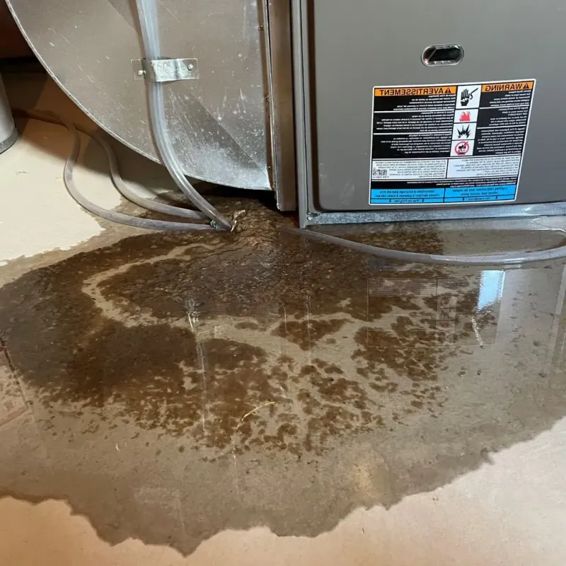 Pipe Burst and Leak Restoration in Bealeton, VA