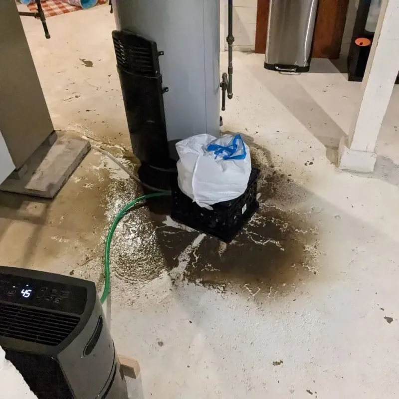 Sewage Backup Cleanup Service in Bealeton, VA